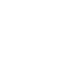 Tableau Reports